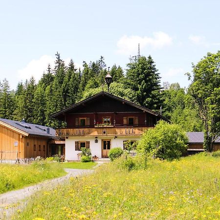 Going Artenreich Going am Wilden Kaiser Luaran gambar