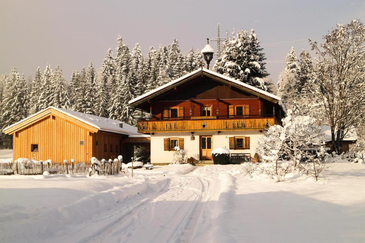 Going Artenreich Going am Wilden Kaiser Luaran gambar