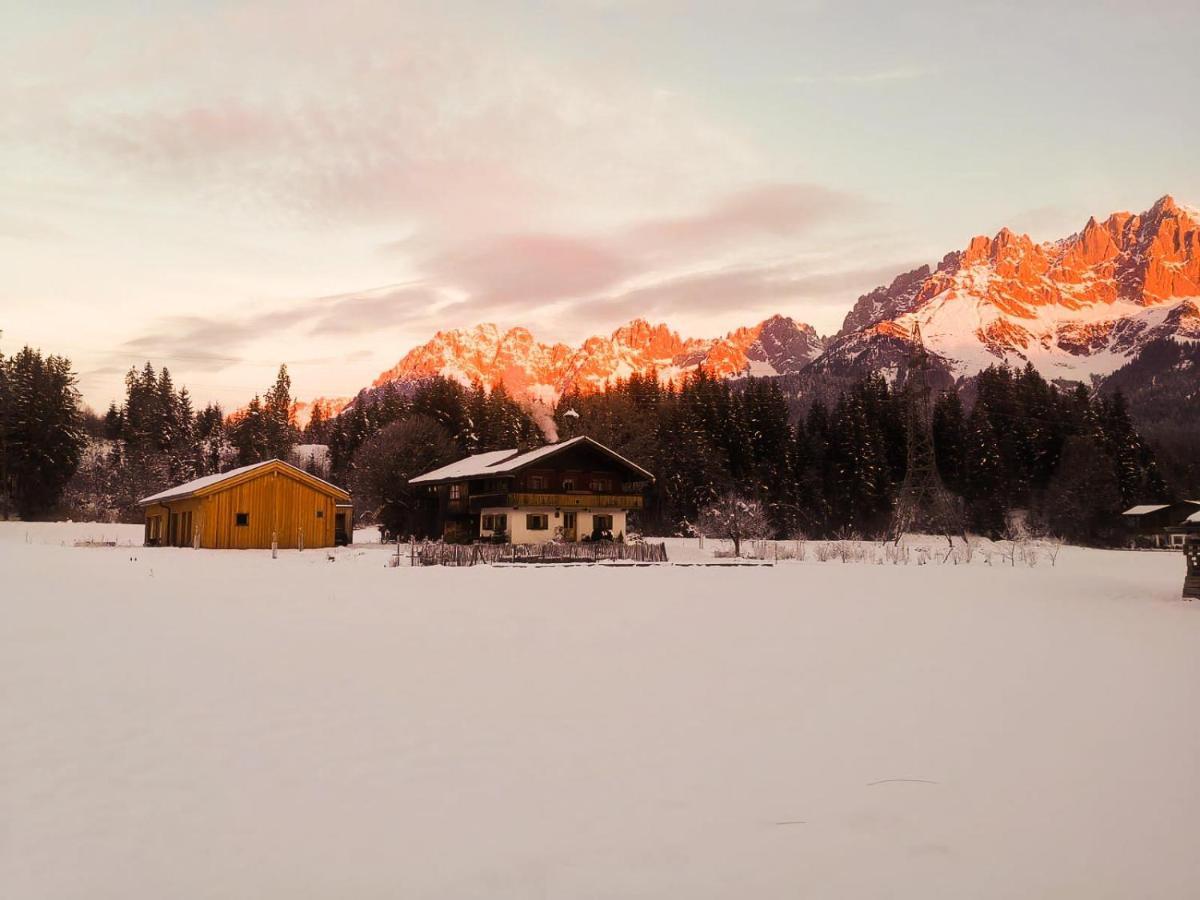 Going Artenreich Going am Wilden Kaiser Luaran gambar