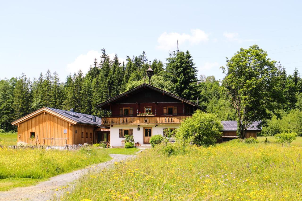 Going Artenreich Going am Wilden Kaiser Luaran gambar